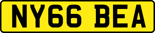 NY66BEA