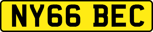 NY66BEC