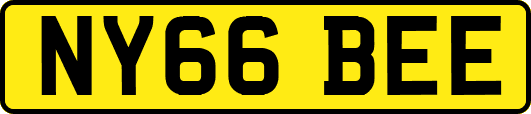 NY66BEE