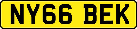 NY66BEK