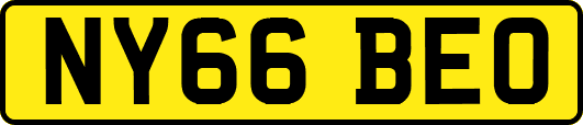 NY66BEO
