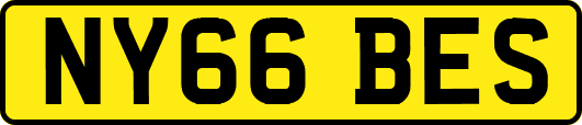 NY66BES