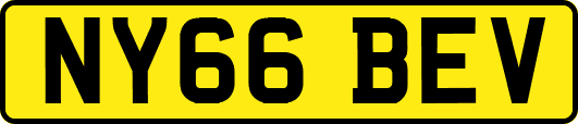 NY66BEV