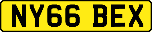 NY66BEX