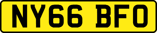 NY66BFO