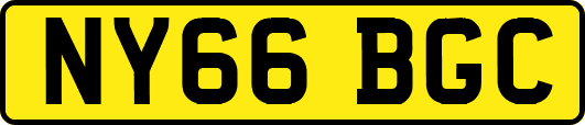 NY66BGC