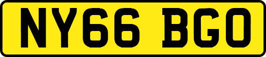 NY66BGO
