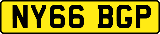 NY66BGP