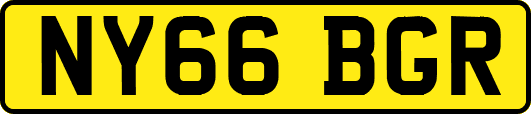 NY66BGR