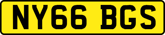 NY66BGS