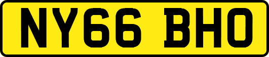 NY66BHO
