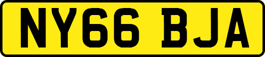 NY66BJA