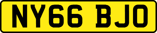 NY66BJO