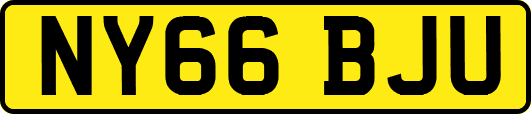 NY66BJU