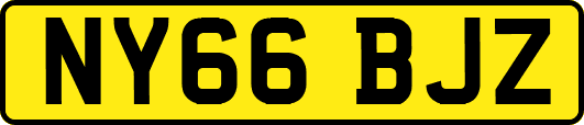 NY66BJZ