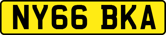 NY66BKA