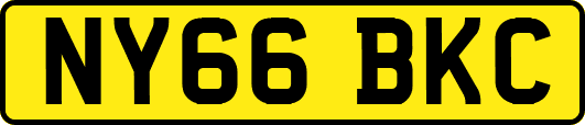 NY66BKC