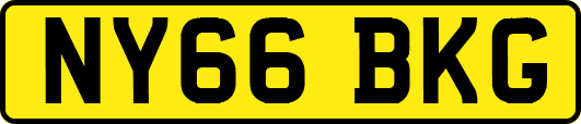 NY66BKG
