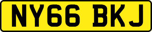 NY66BKJ