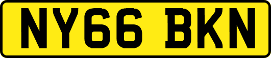 NY66BKN