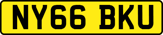 NY66BKU