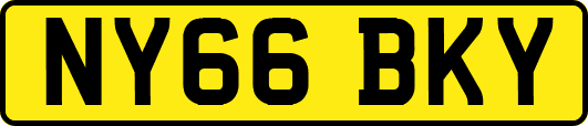 NY66BKY