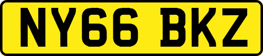 NY66BKZ