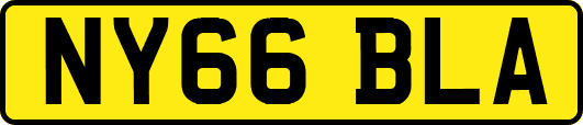 NY66BLA