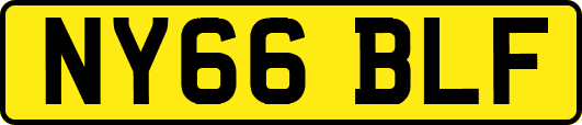 NY66BLF