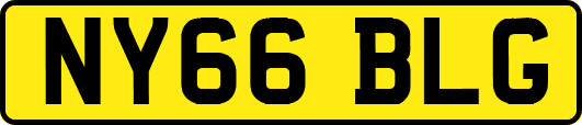 NY66BLG