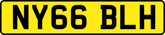 NY66BLH