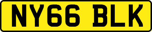 NY66BLK