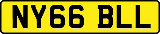 NY66BLL
