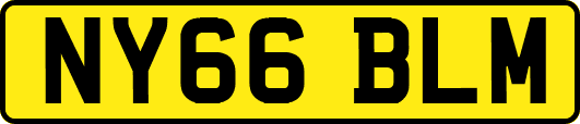 NY66BLM