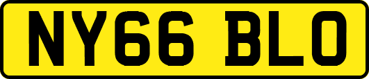 NY66BLO