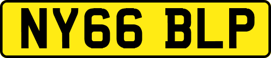 NY66BLP