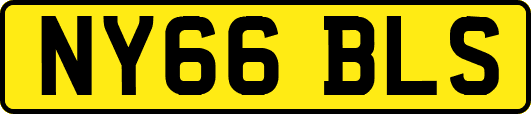 NY66BLS