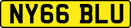 NY66BLU