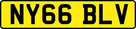 NY66BLV