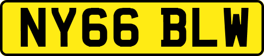 NY66BLW