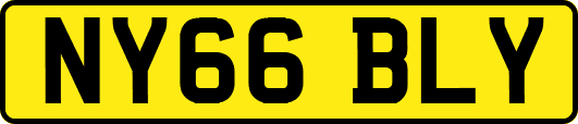 NY66BLY