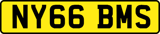 NY66BMS