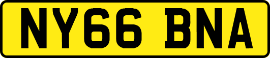 NY66BNA