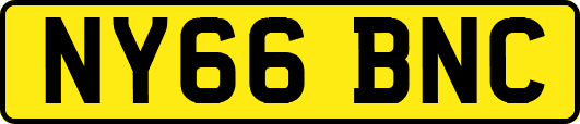 NY66BNC