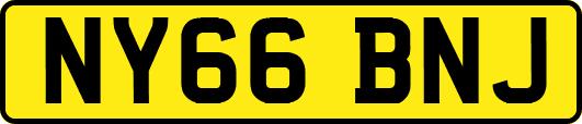 NY66BNJ