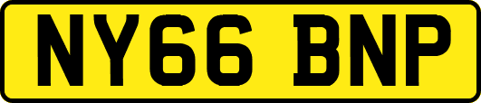 NY66BNP