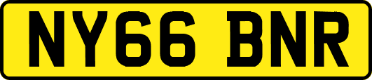 NY66BNR