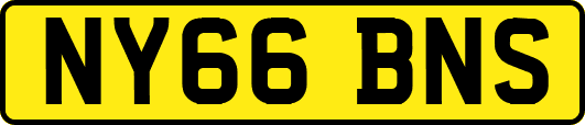 NY66BNS