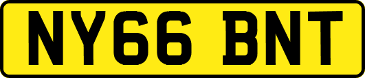 NY66BNT