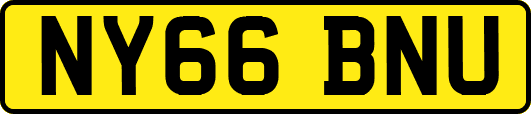 NY66BNU